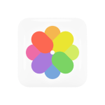 Brand Building Service Including Color Pallet provided by Start Tech Company in Dubai | UAE
