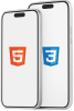 Hybird Native apps development by Start Tech in Dubai